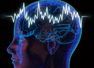 Az agy és az univerzum iker testvérek?