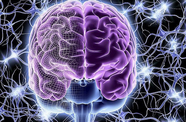 Gondolhat-e egy ember agy nélkül?