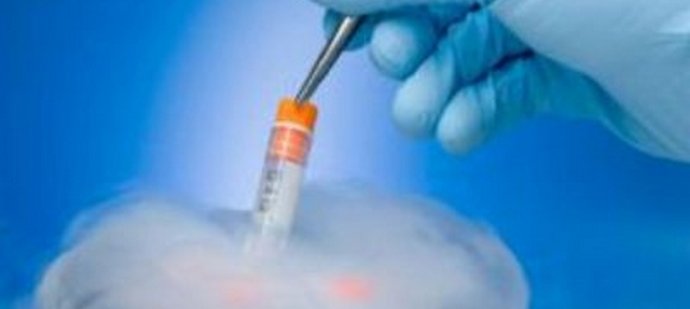 Lehetséges mesterségesen létrehozni a tökéletes generációt?