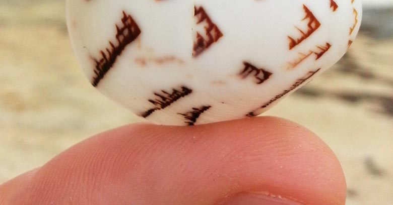 A férfi talált egy követ инопланетными символами