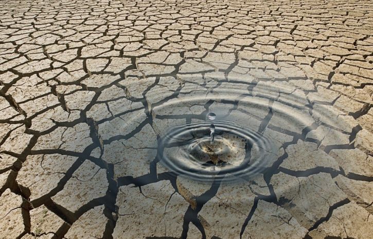 Az emberiség 2019-re kimerítette a bolygó összes megújuló erőforrását