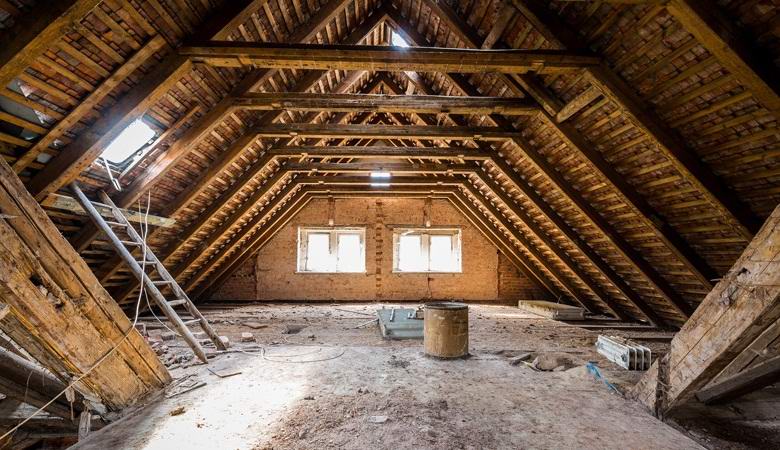 Az amerikai nő tetőtérében titokban egy vendég élt, akit szellemnek tévesztett fel