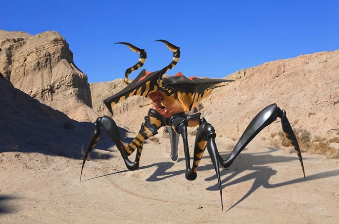 Az entomológus fényképeket készített a Mars felszínéről.