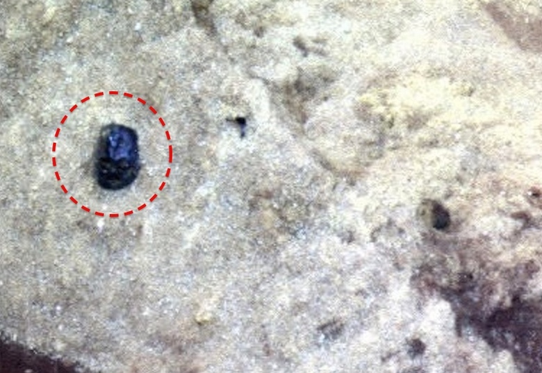 A Marson található képekben