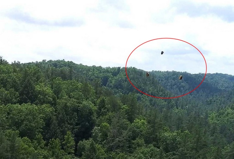 A fényképen található hibát úgy hívták