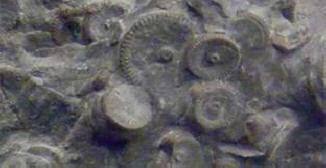 Idegenek voltak Kamcsatkában