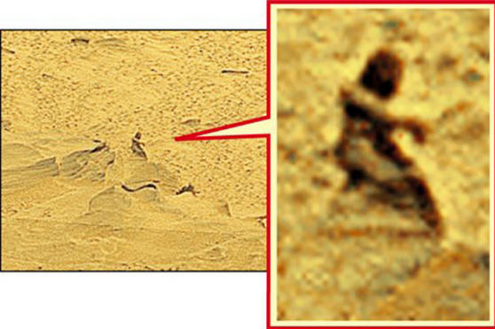 A híres marsi a guszi kráterből