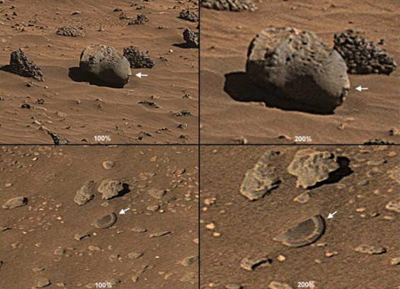 A marsi máj fejét és törött tányérját