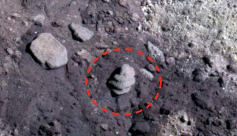 Óriási kagyló található a Marson