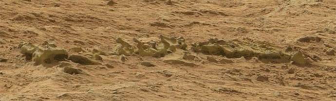 A Marson felfedezték egy ismeretlen állat csontvázát?