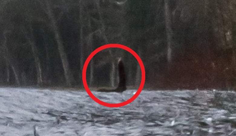 A Google panorámáiban egyértelmű lövés volt Nessie-ről