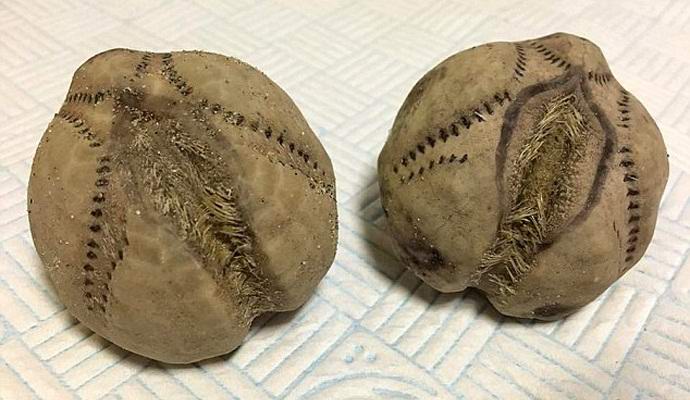 Idegen tojásokat találtak Anglia tengerpartján