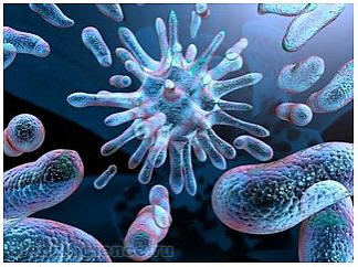 Alvó élő szervezetet fedeztek fel a Mars felszínén