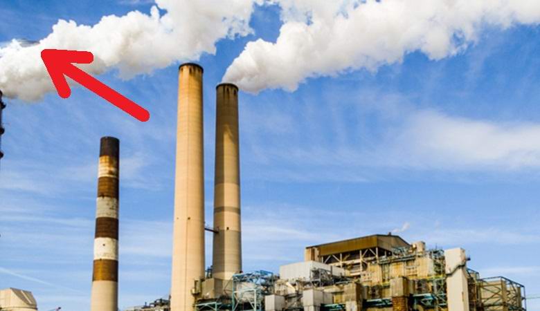 A szentpétervári üzem helyén találtak egy fényképet a