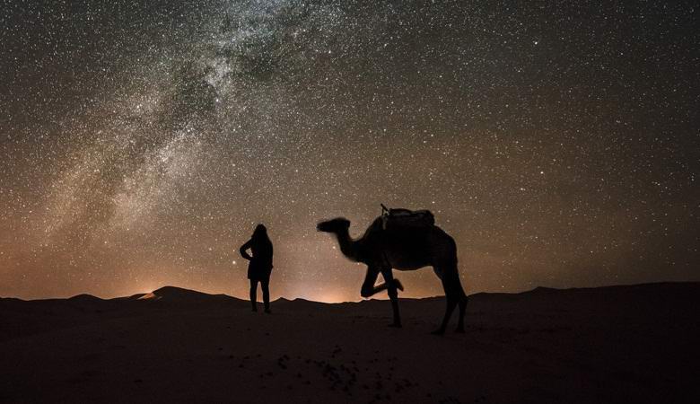 Arab videó lények a videón, megtévesztő gépjárművezetők