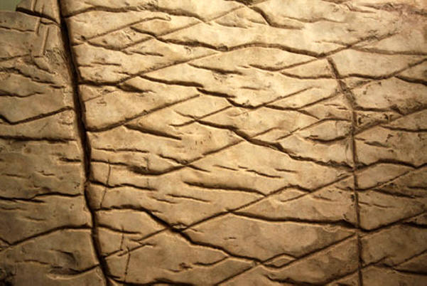 Sok civilizáció volt a Földön