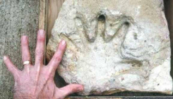 Sok civilizáció volt a Földön