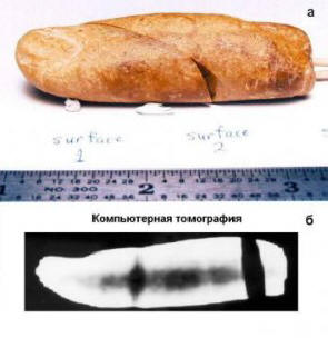 Sok civilizáció volt a Földön