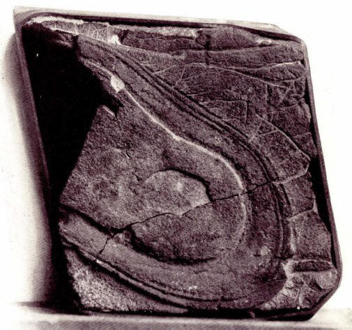 Sok civilizáció volt a Földön