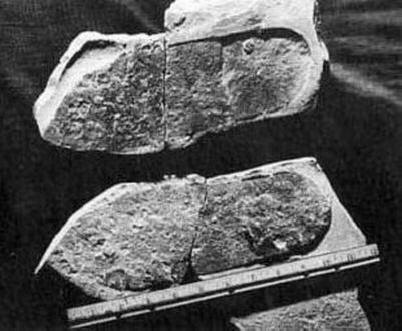 Sok civilizáció volt a Földön