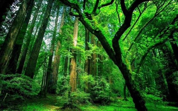 A földön nem találtak olyan helyeket, amelyeket a civilizáció nem érint.