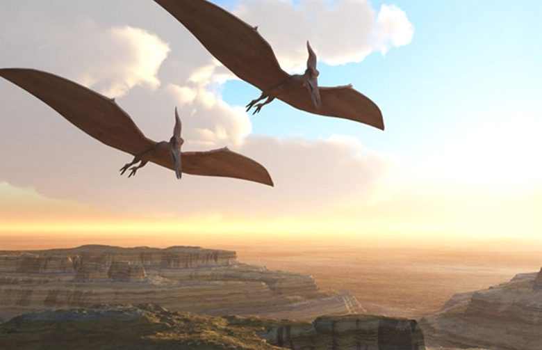 Pterodaktil-megfigyelések a híres Roswell közelében