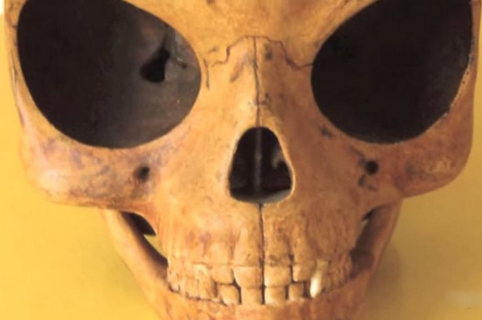 Idegen koponya található