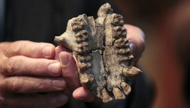 Az ősi ember másik faját találtak