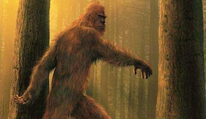 A Yeti nemrégiben hagyta nyomon Texasból