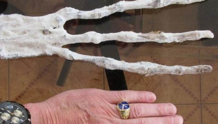 Talált egy idegen kezét?