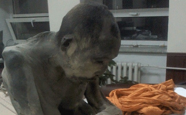 Talált egy egyedi múmiát - szenzációt a buddhistáknak