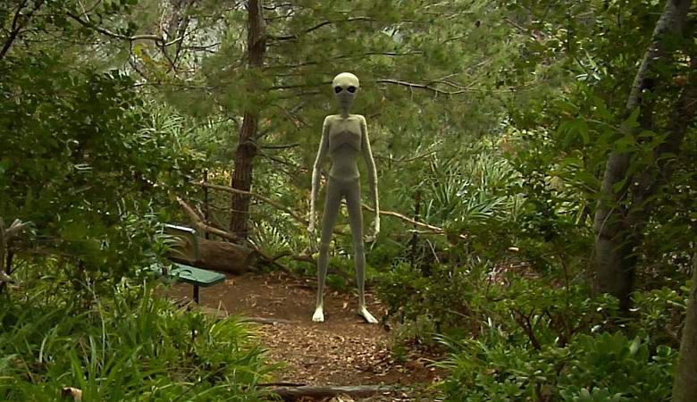 Megtalált régi fénykép