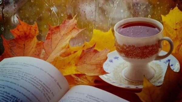 november 15-i szokások november 15-i szokások