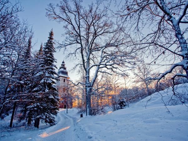 December 11-i népi jelek 