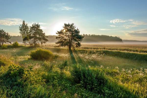 népi jelek júniusra 