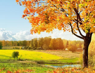 Népi jelek szeptemberre