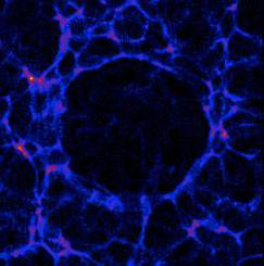 A galaxisunk belül lehet a Hubble buborékban