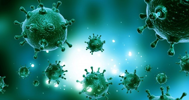 A föld igazi mesterei nem mi vagyunk