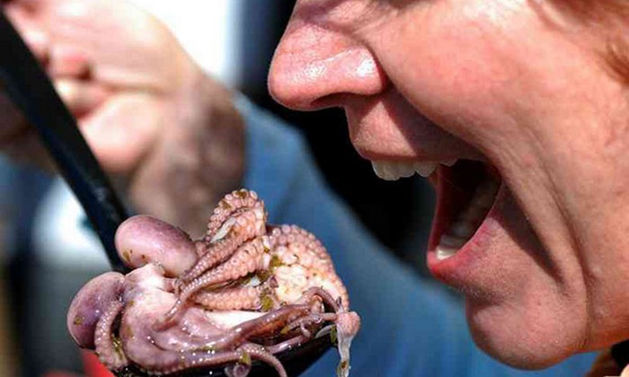 Természetesen élő ételek