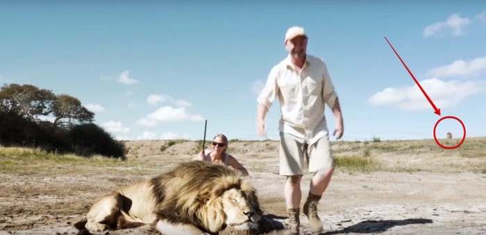 Ne ébredj, vagy hogyan büntette a természet orvvadászokat