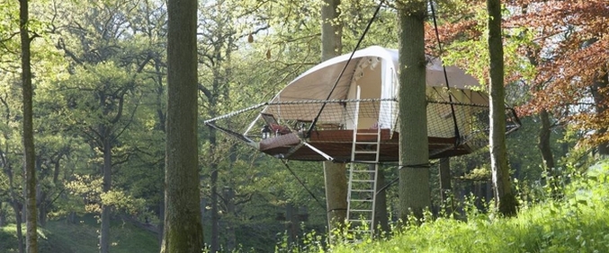 Fában akarsz élni?