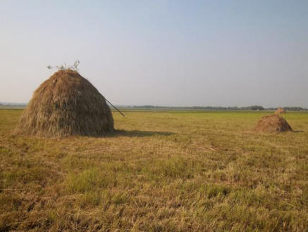 Ne lopj a varázslótól