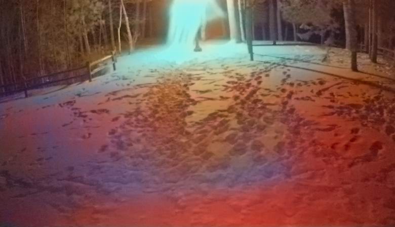 Valami rendkívüli esett a kamerába.