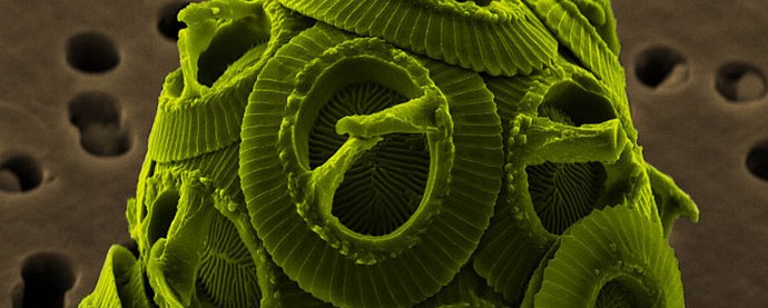 Valami furcsa és félelmetes