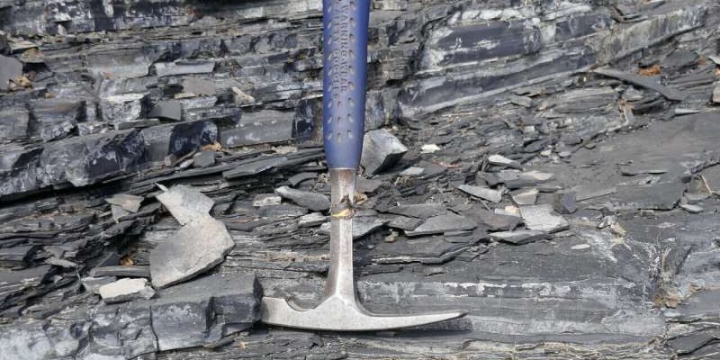 Az óceánok oxigénhiánya a Föld életének globális kihalásához vezetett a múltban 