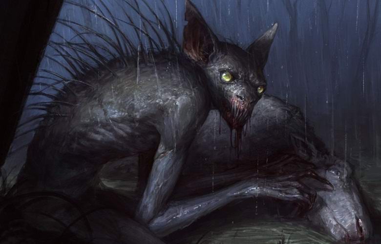 Egy ismeretlen szörnyeteg titokzatosan emészti el a juhok belsõ részeit Indiában.