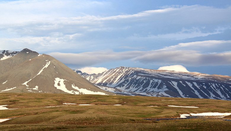 A német tudósok meghatározták a Shigir bálvány pontos életkorát
