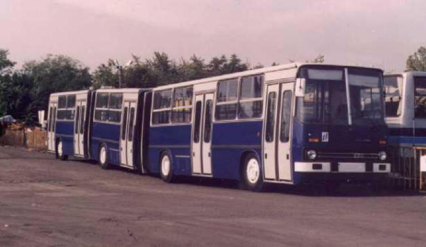 Vicces busz busz, szokatlan