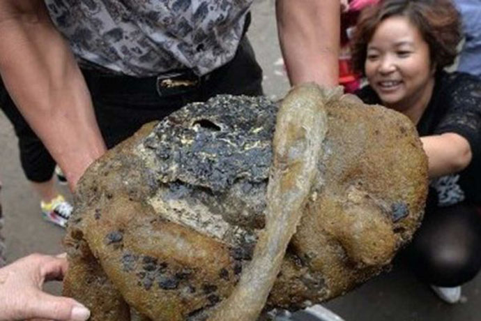 Azonosítatlan lény Kínában fogva