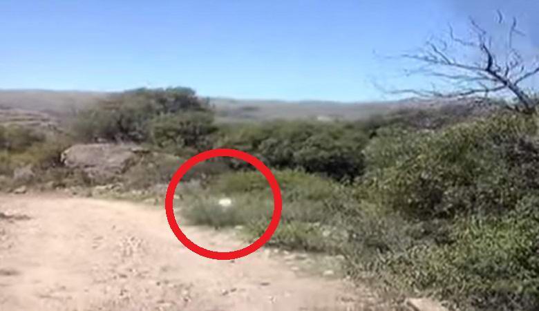 Érthetetlen izzás üldözte az argentinok kocsiját